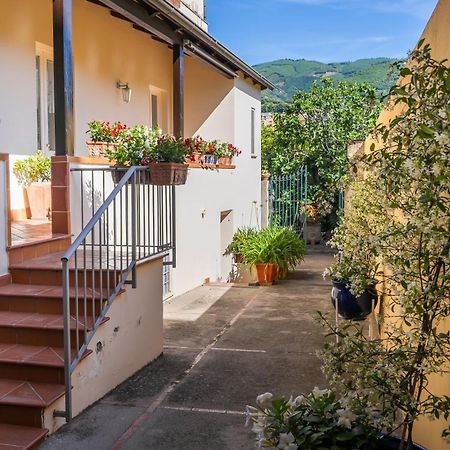 Casa Assunta B&B Vico Equense Exteriér fotografie
